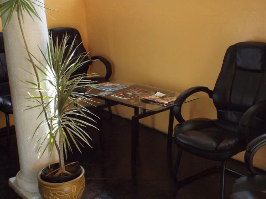 Tropical Court Inn New Kingston Ngoại thất bức ảnh